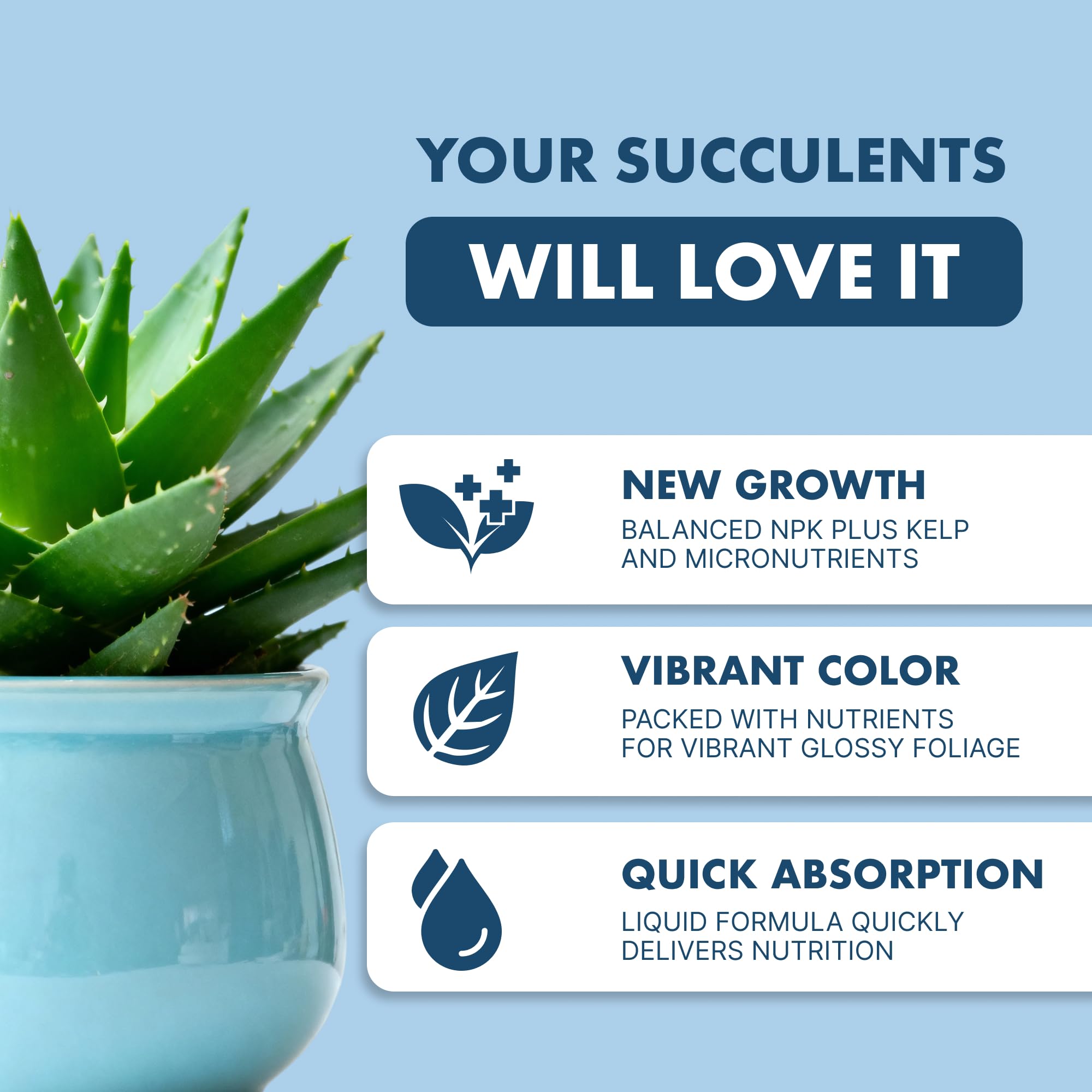 Amazon.com : Succulent Fertilizer  Liquid Plant Food for Compact Growth,  Vibrant Color & Stronger Root Development, 8 oz : Patio, Lawn & Garden
