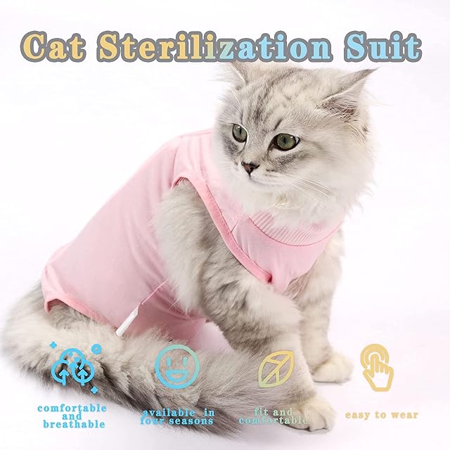 Foto 2 de 7 de CGLRybO Traje de recuperación profesional para gatos para heridas abdominales o enfermedades de la piel