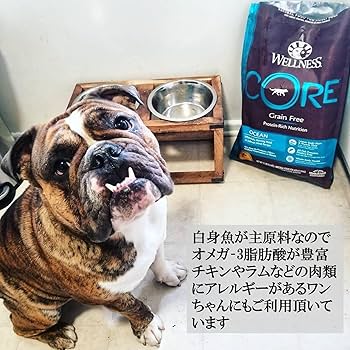 Amazon.co.jp: ウェルネス ドッグフード コア グレインフリー 高