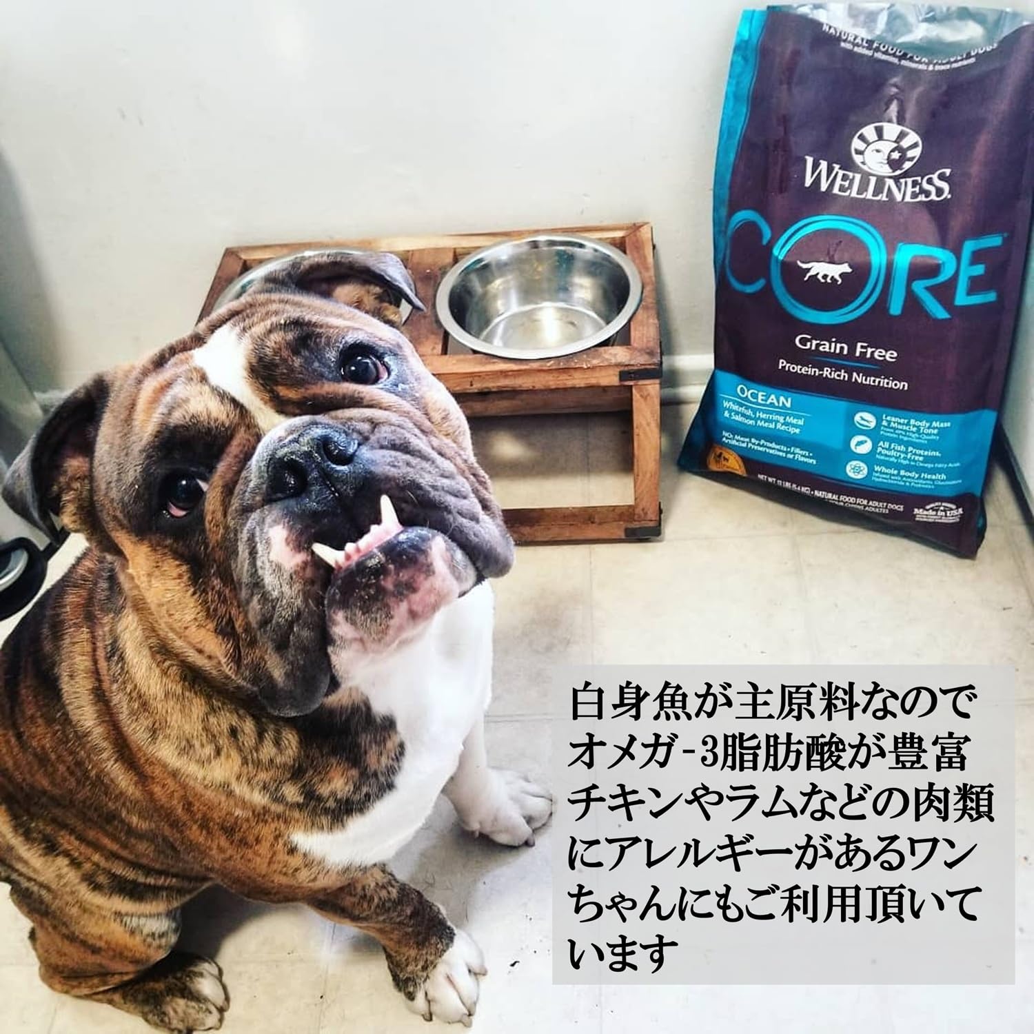 Amazon.co.jp: ウェルネスコア 高たんぱく質グレインフリー 成犬用
