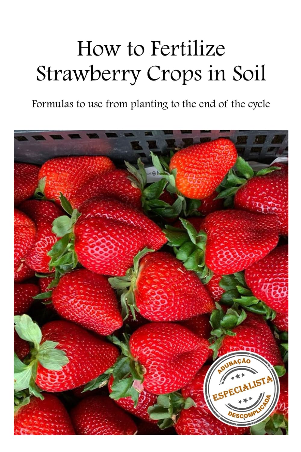 How to Fertilize Strawberries Crops in Soil: Formulas to use Recipes for the Entire Growing Cycle ([Strawberry] 3 units | How to Fertilizer ... How to Identify Nutrient Deficiency Symptoms)