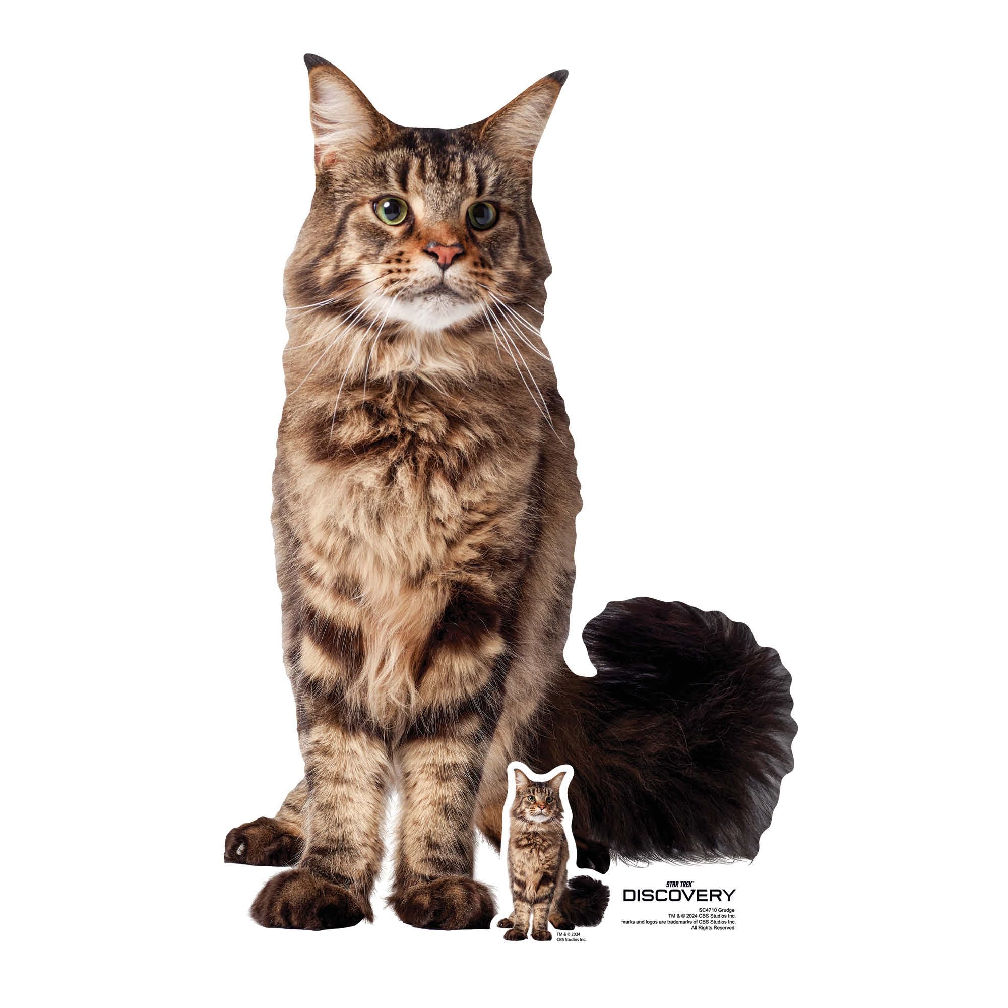 Star Cutouts – SC4710 – Star Trek Grudge the Cat Cardboard Cutout 64cm – Discovery – Collectors’ Favourite Star Trek Gift