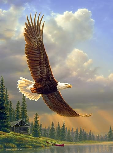 Buffalo Games Hautman Brothers Into The Light - Puzzle de 1000 piezas