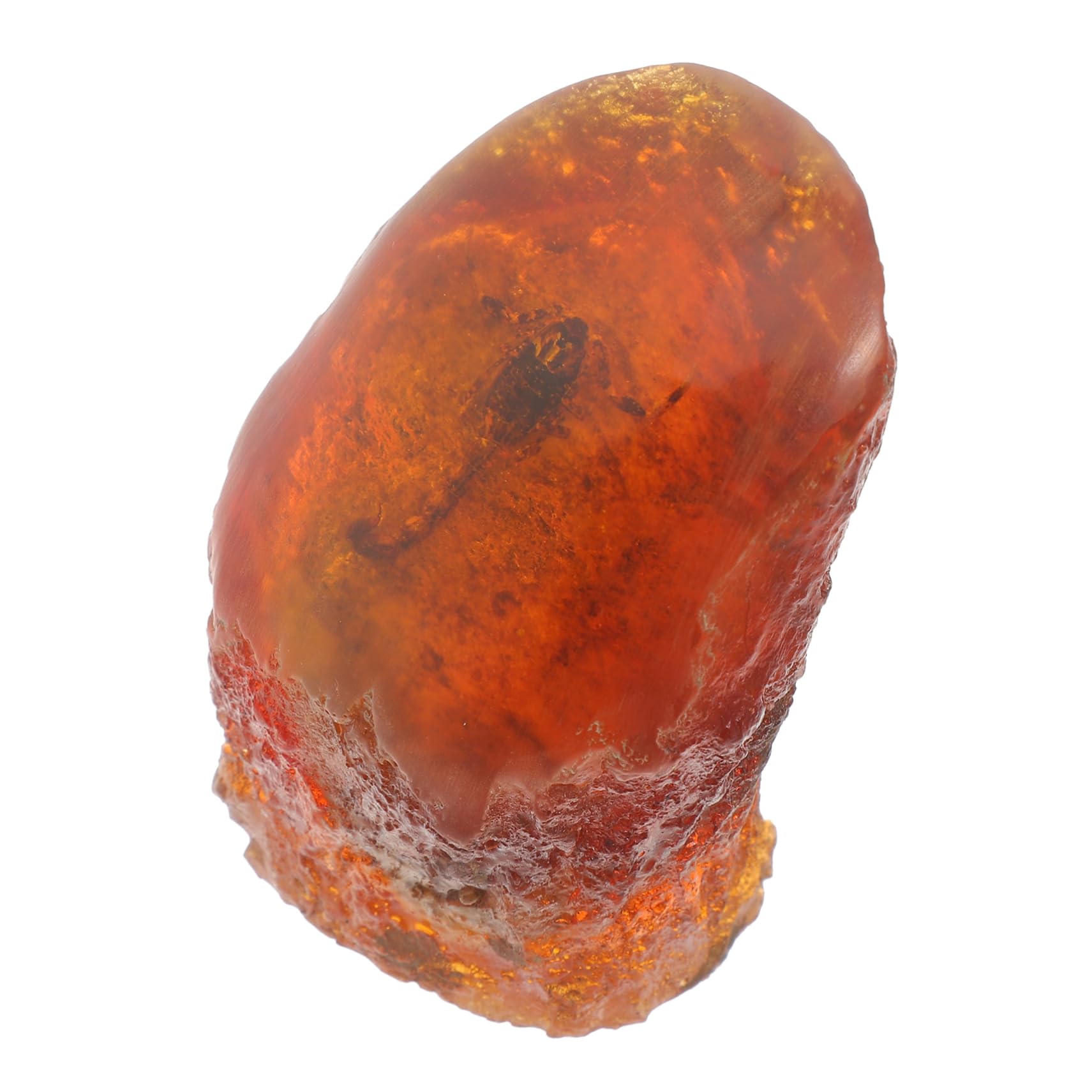 PRETYZOOM Fossilized Scorpion Specimen Resin Insect Stone Exquisite Home Decor for Nature Lovers