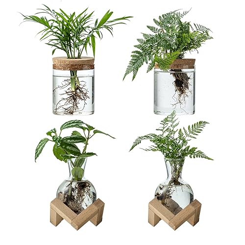 Plant Propagation Station, 2 Style Glass Planter Terrarium Set for