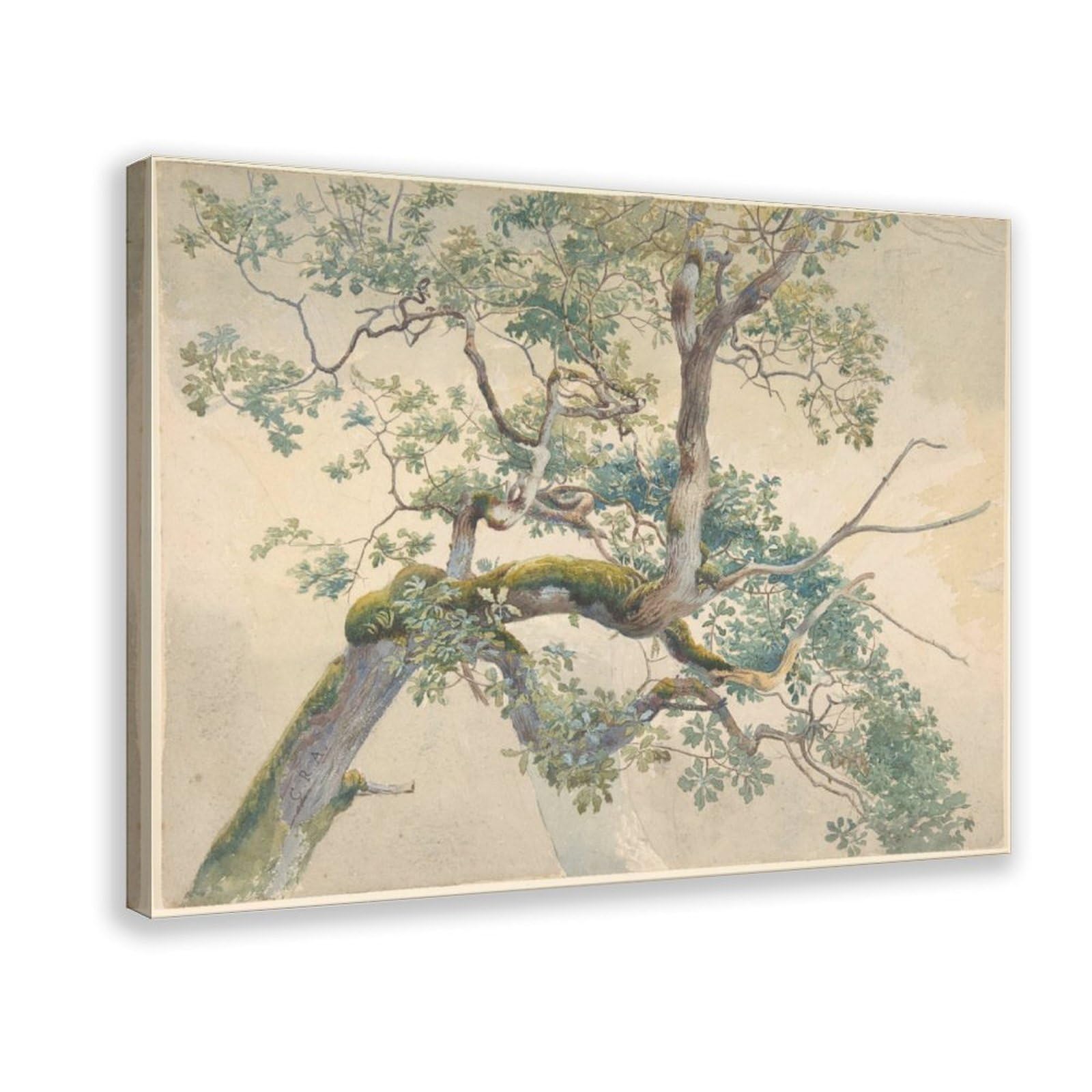 Impression sur toile branches d'arbre de Charles Reginald Aston d'art - 8