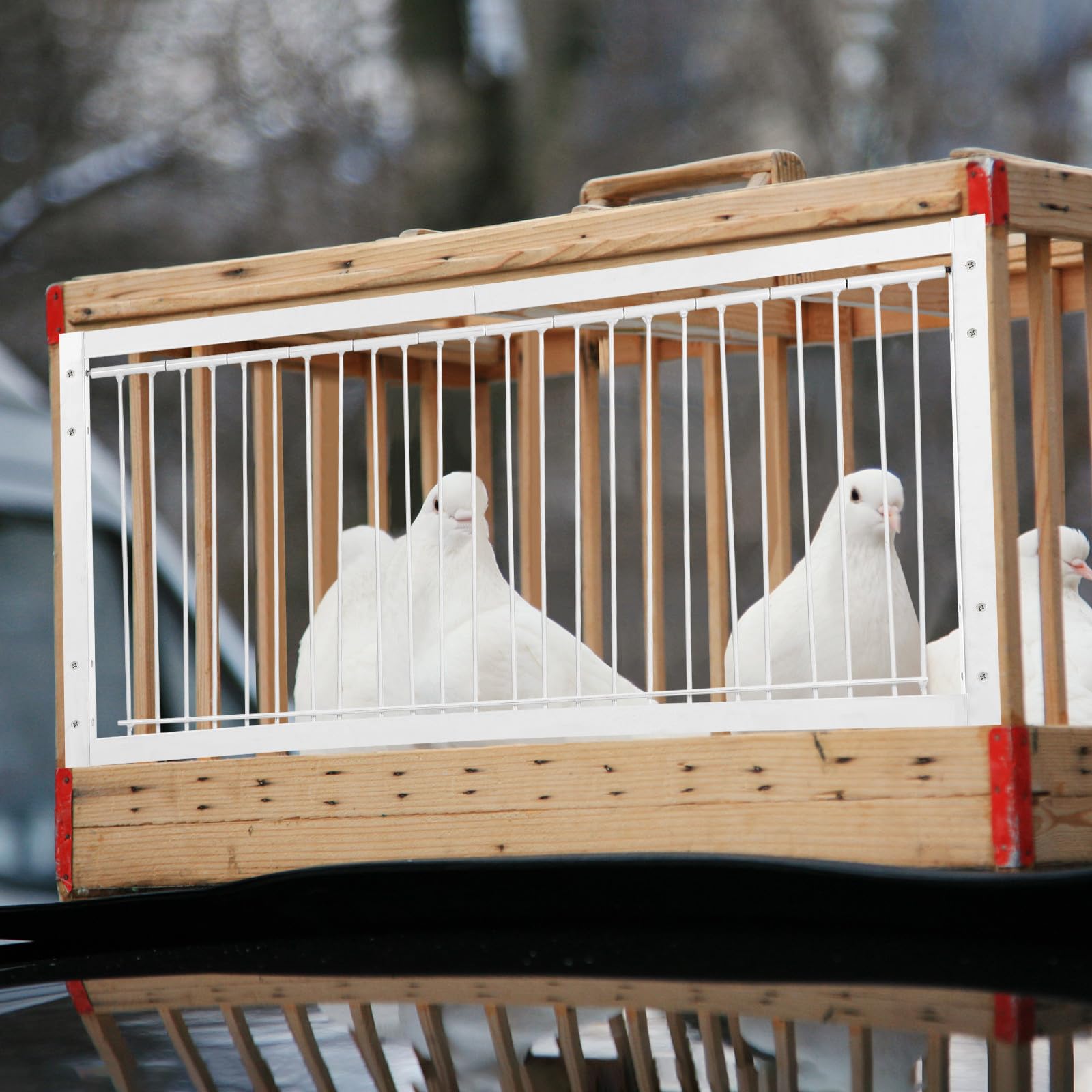 Puerta de Jaula para Palomas Mensajeras Mecanismo Flexible Engrosado de Hierro para Entrenamiento y Competición de Aves