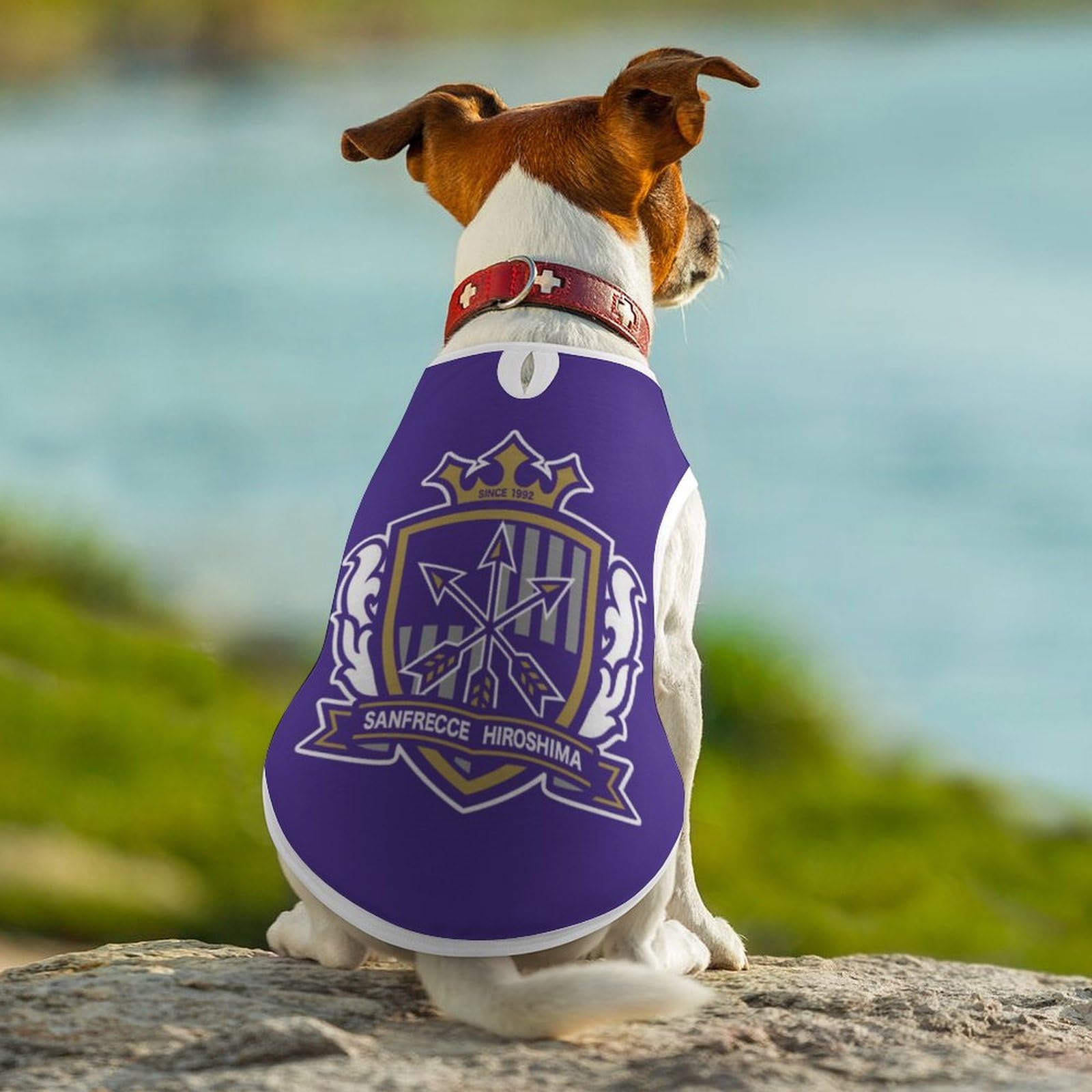 Amazon.co.jp: サンフレッチェ広島ペット服セーター犬服猫服秋冬冬の