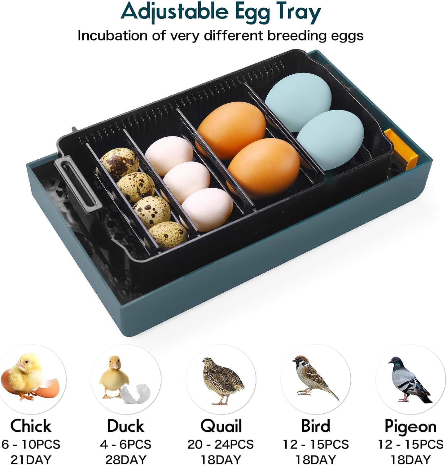 日本画家 栗山北洋 作 南天に雀 南天福寿 絵画色紙 美品 です。 南天の