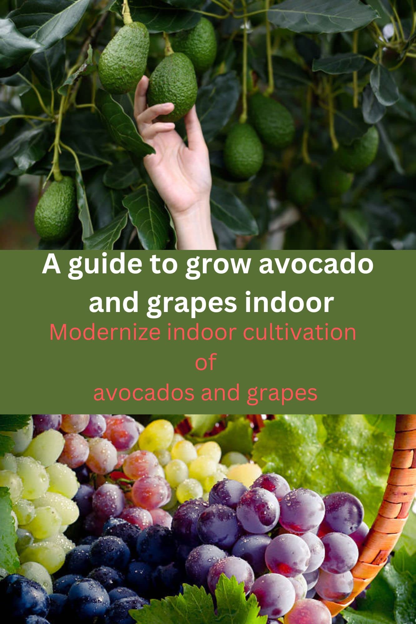 A guide to growing avocado and grapes indoor: modernize indoor cultivation of avocados and grapes