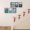 Product Photo 5