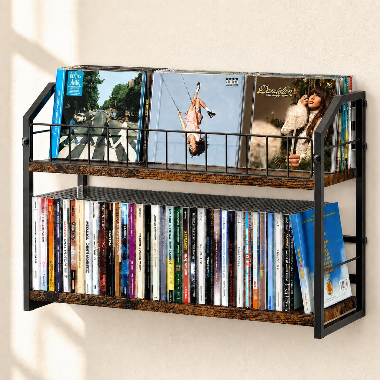 2-Tier CD Storage Rack for Wall Mount, CD Holder with Display