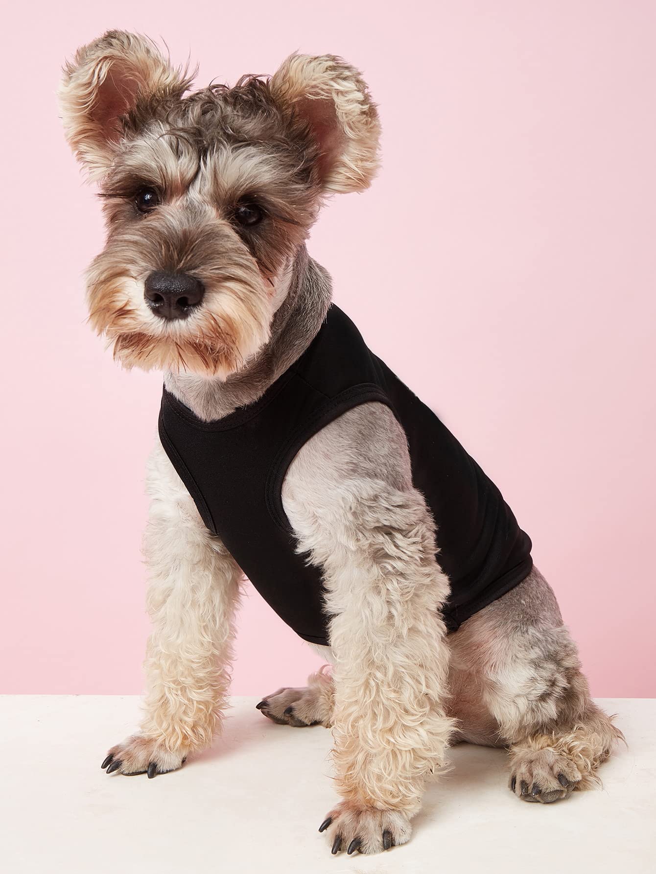Paquete de 6 imanes de mamá papá bebé rosa perro oye abrazo beso (mamá y papá y perro rosa y bebé y corazón y beso, mediano (paquete de 6))