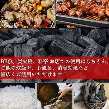 土佐備長炭　二級　20キロ 000000000026_fvSoISq.jpg