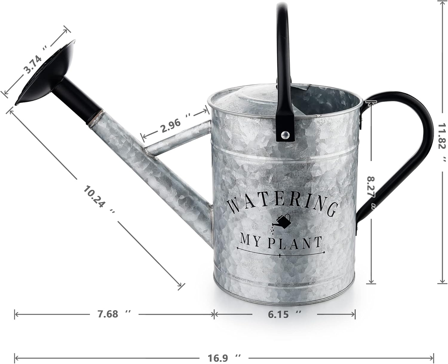 Galvanized Watering Can for Outdoor Indoor Plants, 1 Gallon Decorative Countryside ... - Image 7