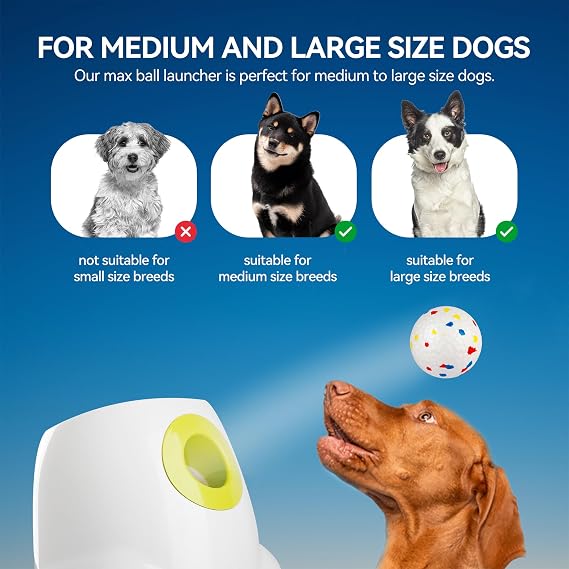 ALL FOR PAWS Large Automatic Dog Ball Launcher with 6PCS 6.35CM EPTU Balls, Ball Thrower for Medium to Large Dogs, Interactive Dog Fetch Toy for Mental & Physical Exercise, Launches Up to 64ft