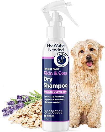 Honest Paws Dog Dry Shampoo - Waterless No Rinse Foaming Formula Reducing Itch Cleanse Hydrate Nourish Dry Skin and Smelly Coat Help Decrease Odor