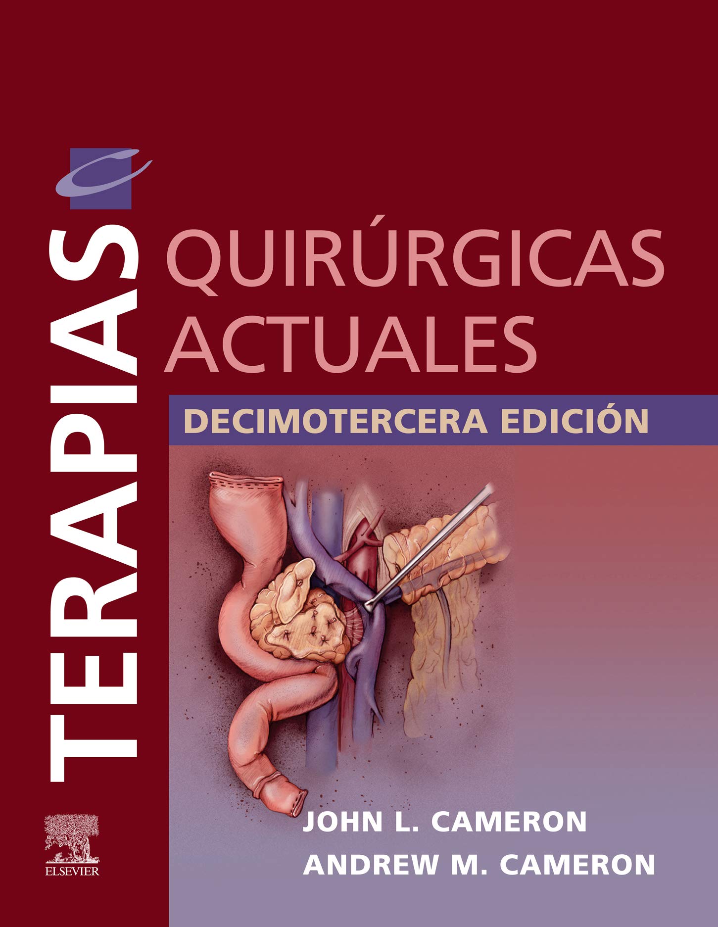 Terapias quirúrgicas actuales (Spanish Edition)