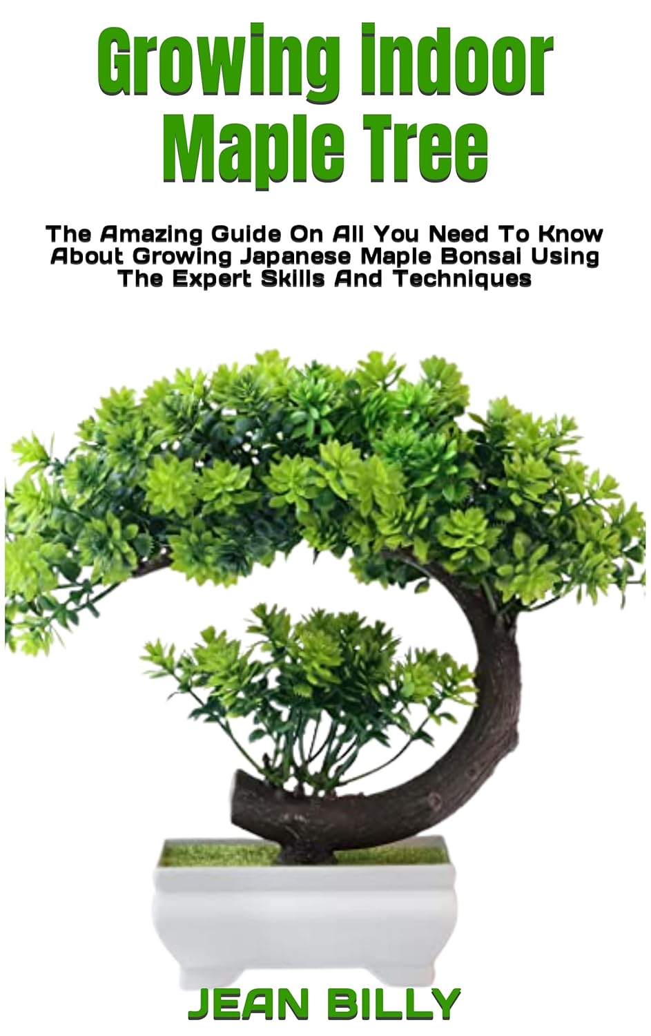 Growing indoor Maple Tree The Amazing Guide On All You Need To Know