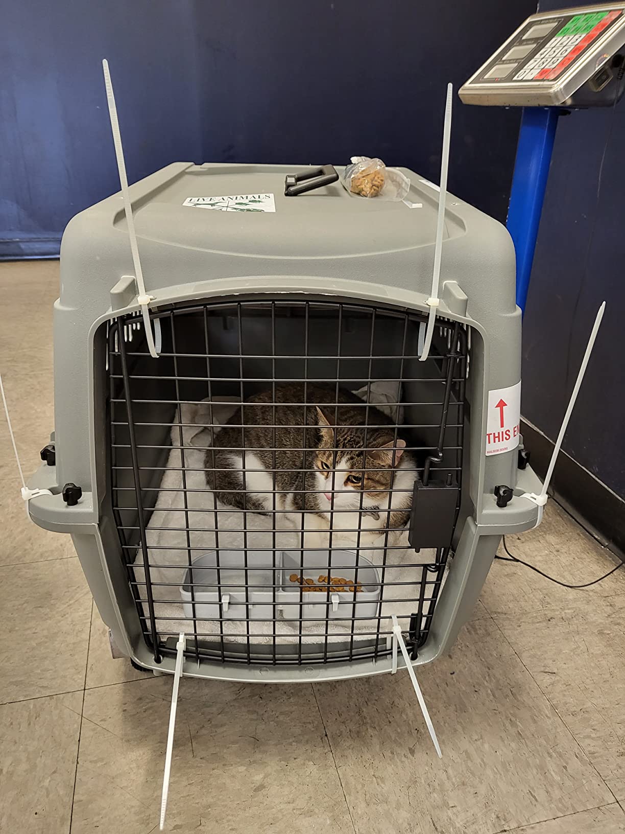 10/mo Finance ASPEN PET Traditional Kennel Buy Now, Pay Later