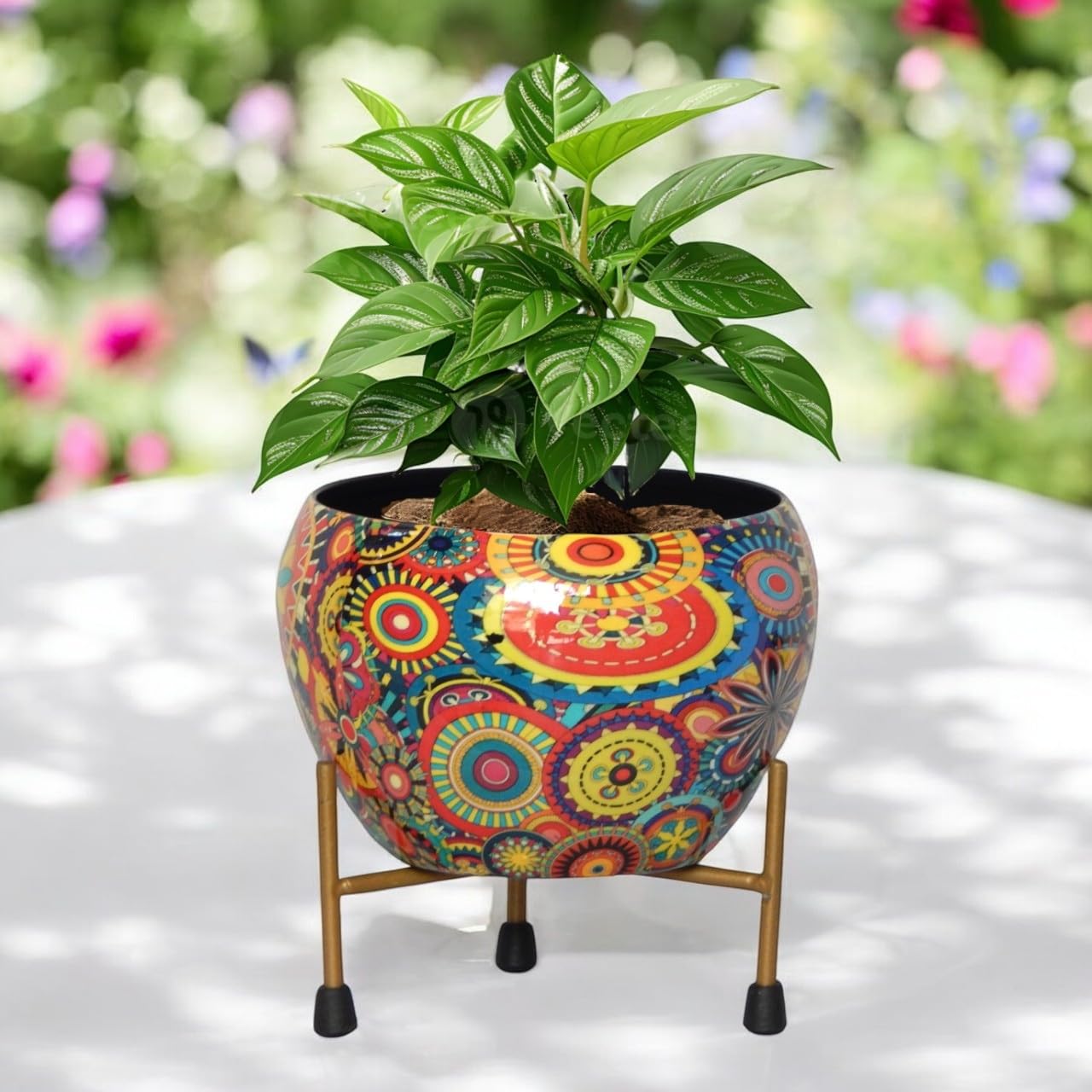 ecofynd 5 inches, Lio Designer Metal Planter Pot with Stand, Modern Style Planter Set, Indoor Outdoor Home Decor Item for Garden Plants Flower, Balcony, Living Room, Garden, Bedroom (Pack of 1) (B0BCGNWB6P) Amazon Price History, Amazon Price Tracker