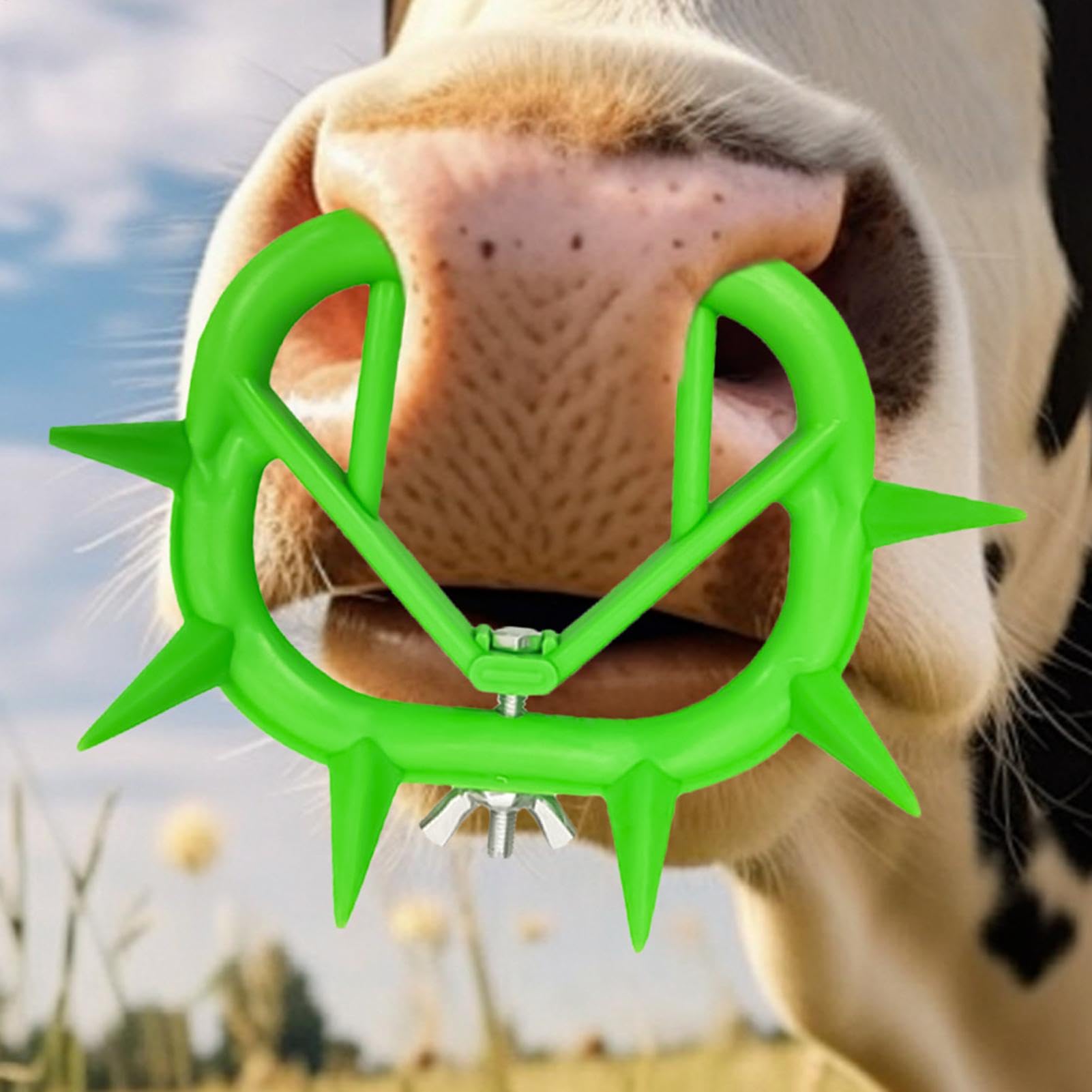 Anello al naso di mucca, Anello al naso di bestiame,Anello da naso anti-succhiamento per bestiame da 10 pezzi | Grandi strumenti per l'allevamento del bestiame, anello per il naso di bovini per vitell
