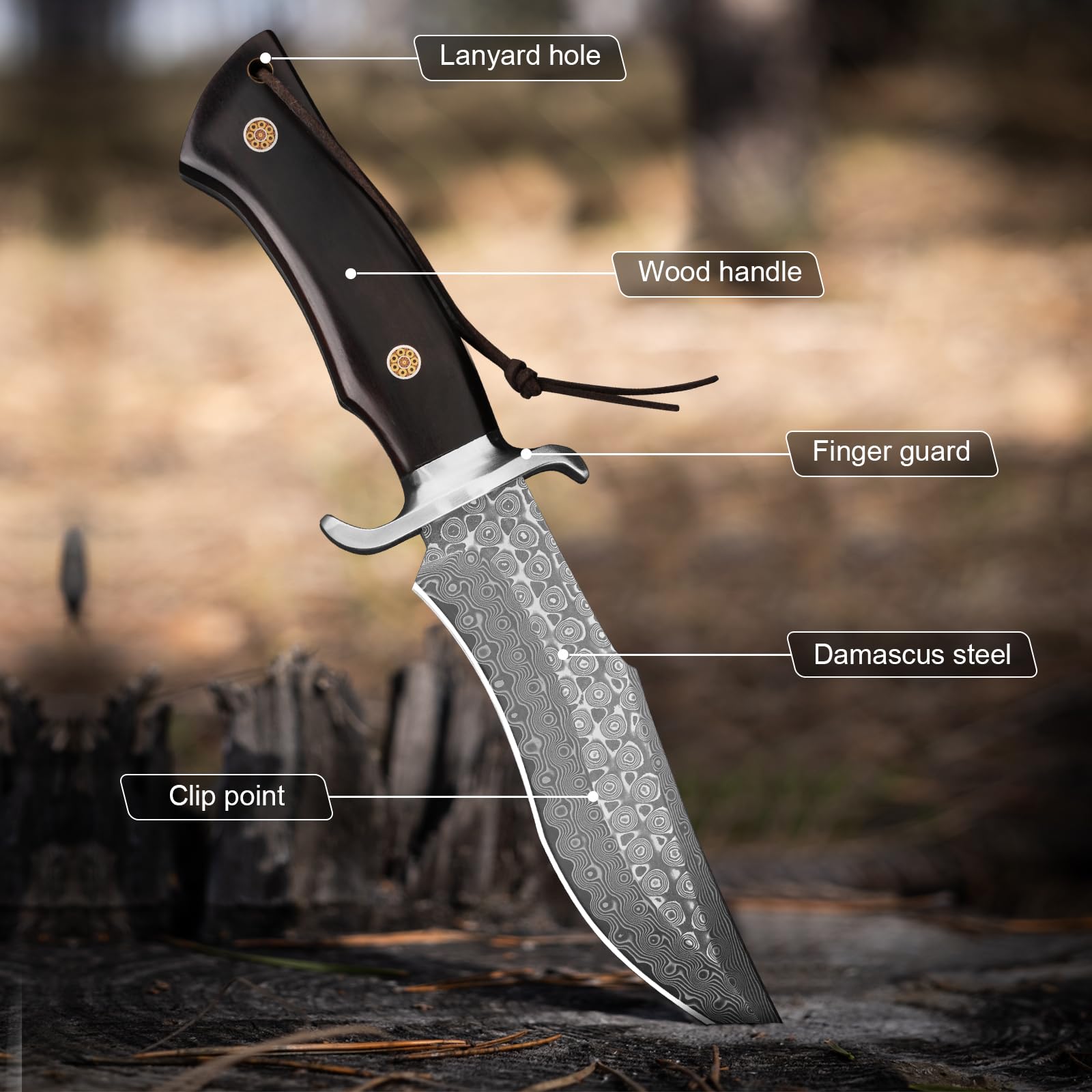 di caccia Lama fissa P-S-DMSG, lunghezza lama 16,3 cm Acciaio damassato Coltello cintura con custodia in pelle, manica in legno, coltello esterno per campeggio