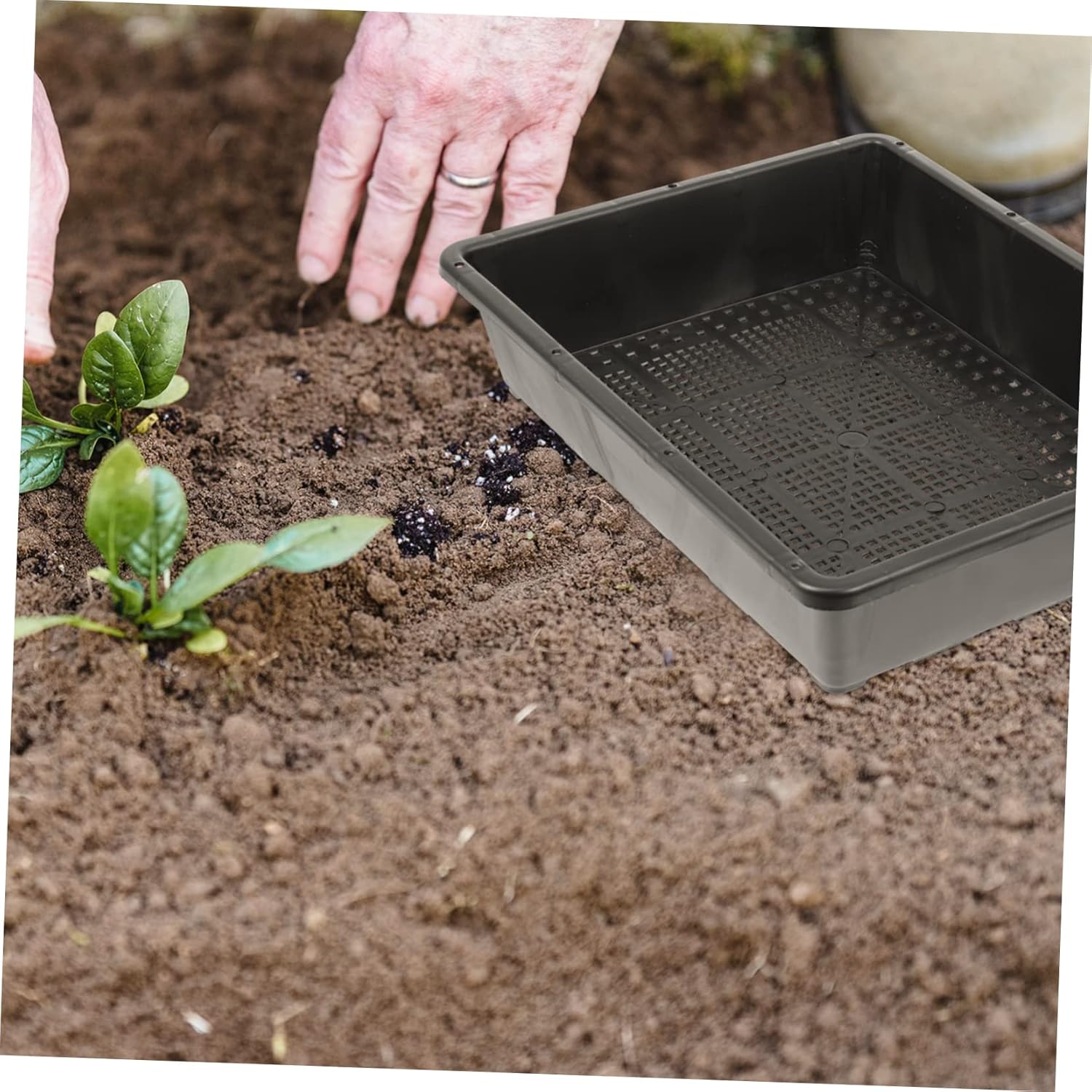 BESPORTBLE 5sets Plant Germination Containers Gardening Tray for Flower and Vegetable Growth and Breathable Design for Indoor and Outdoor Use