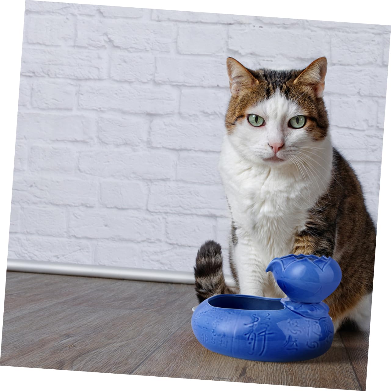 Katzen Trinkbrunnen aus Keramik mit USB Betrieb Sicherer Wasserspender in Lotusform Große Kapazität und Glatte Oberfläche für Haustiere Zuhause
