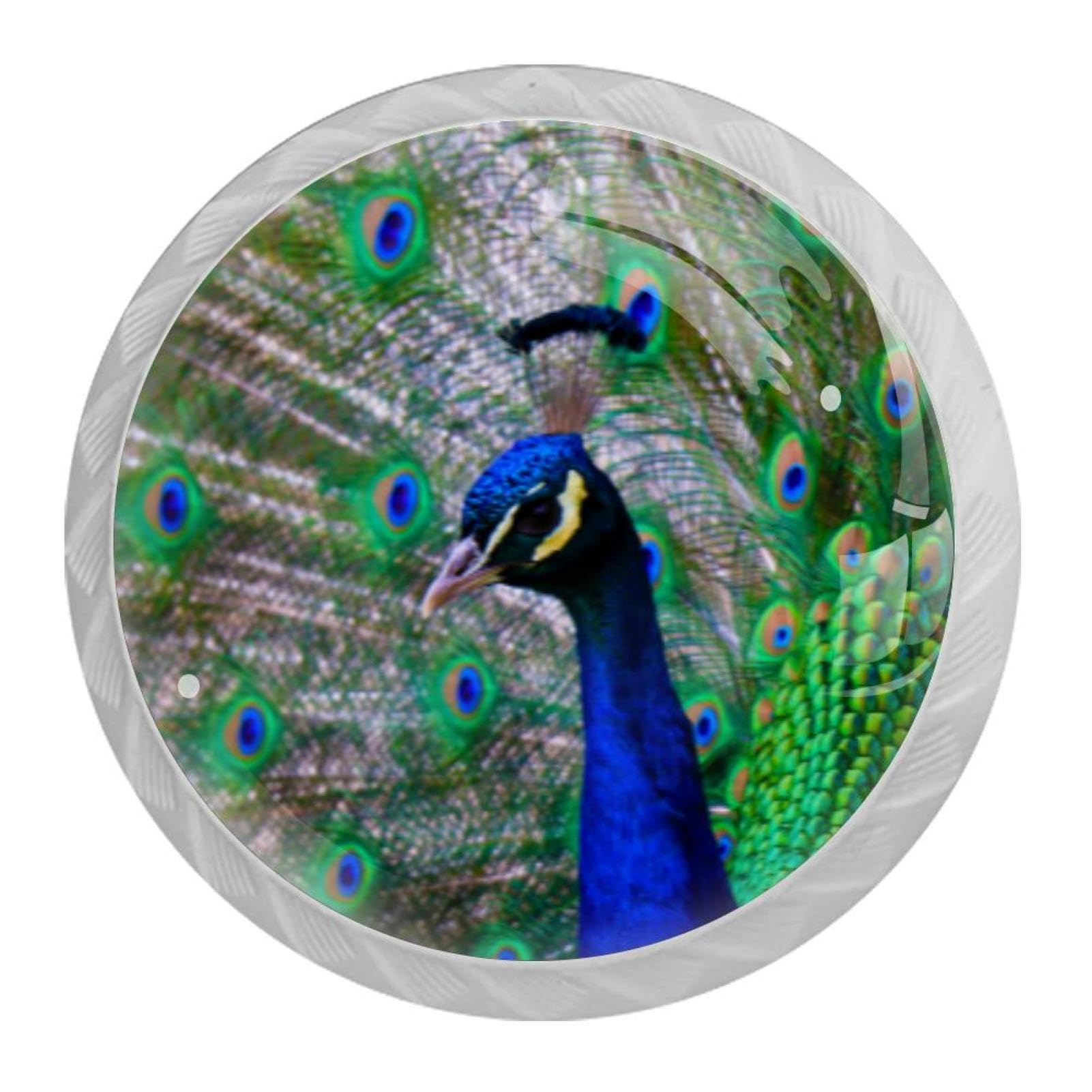 Tqmspg Multi Peacock Bird