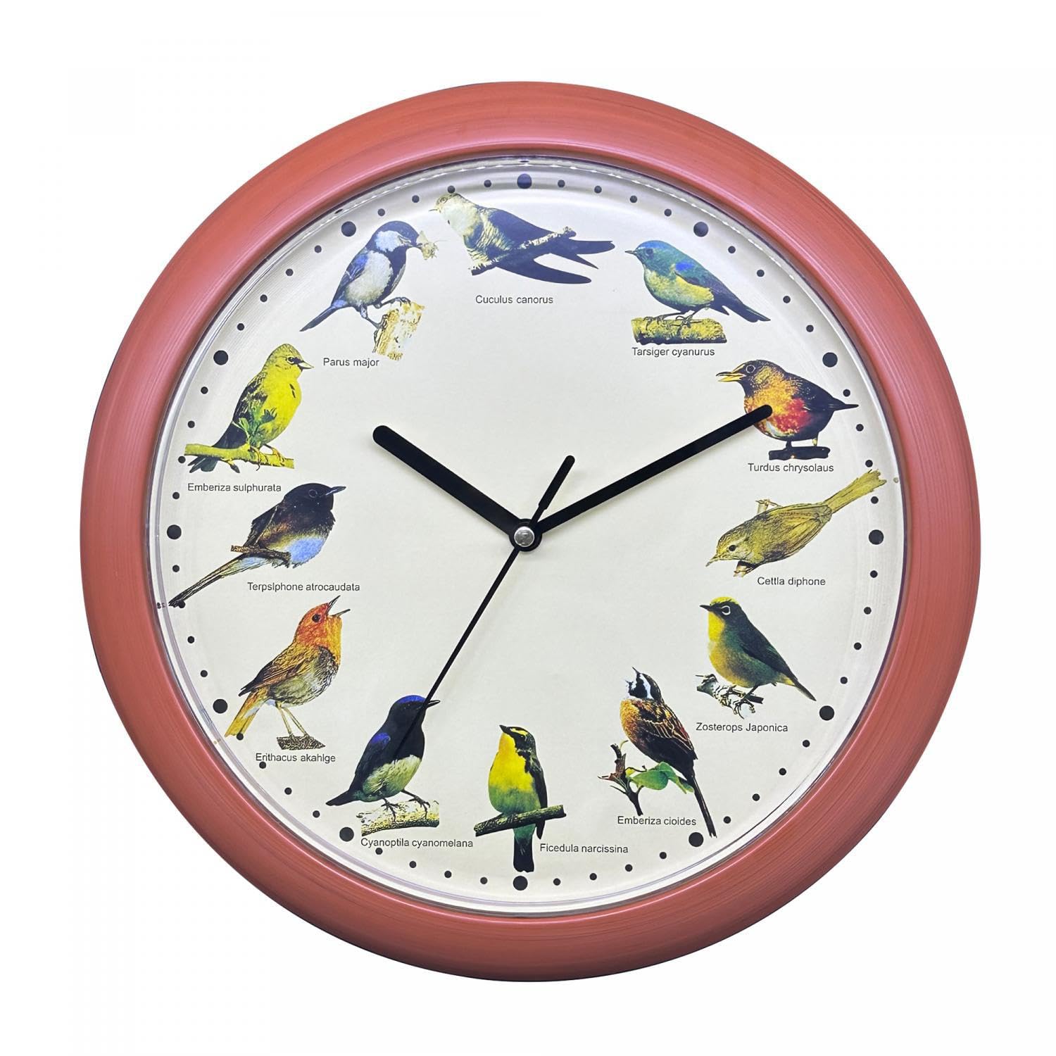 Horloge Murale Chant D'oiseaux – 12 Chants Personnalisables, Design Minimaliste En Résine - 5