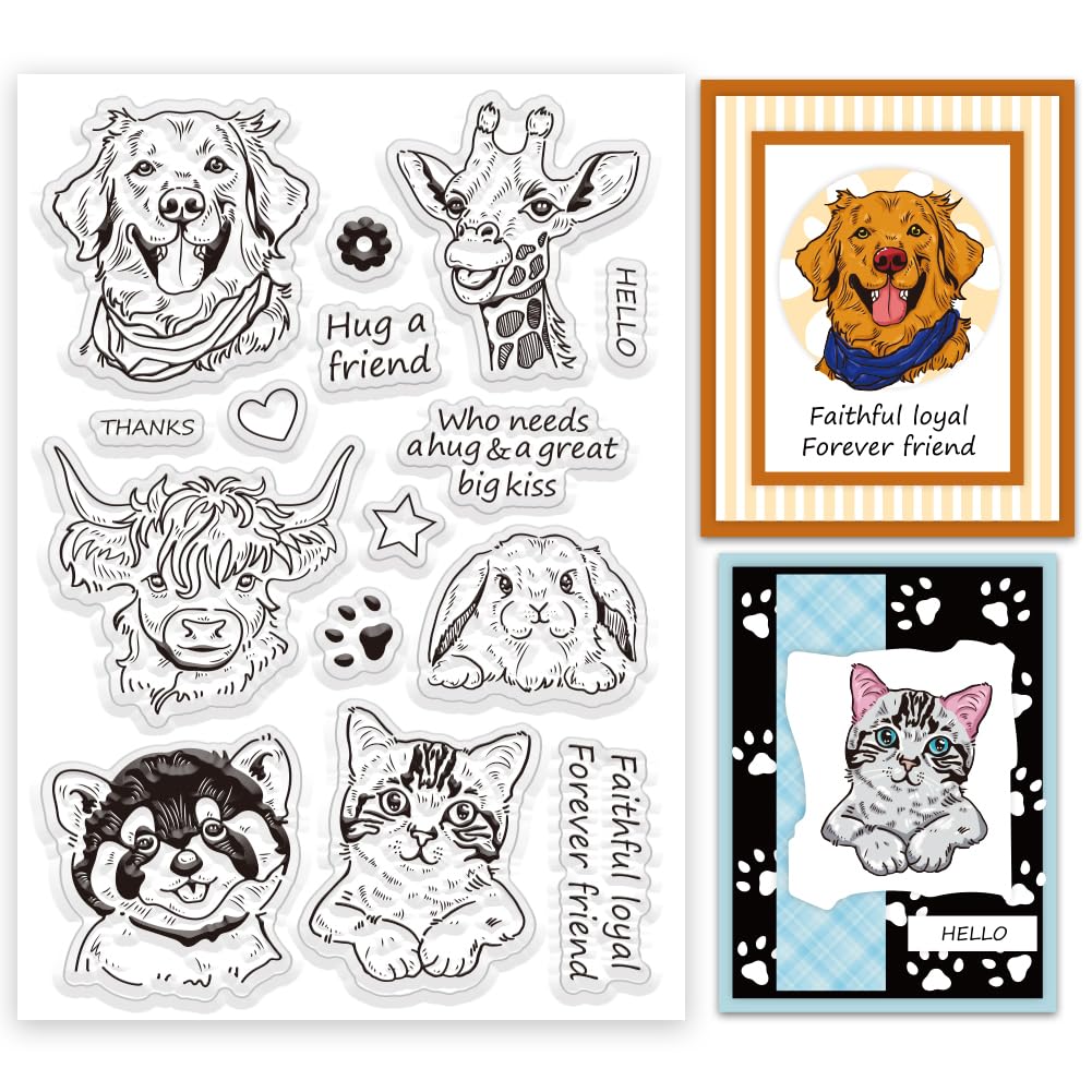 Tuyau Carburant 6AN 3/8″ Tressé Acier Inoxydable – 10 Pieds, Noir, Pour Huile Ou Gaz, Qualité Racing