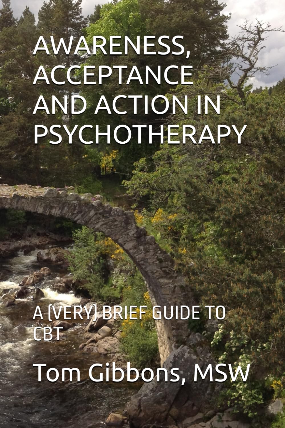 AWARENESS, ACCEPTANCE AND ACTION IN PSYCHOTHERAPY: A (VERY) BRIEF GUIDE TO CBT