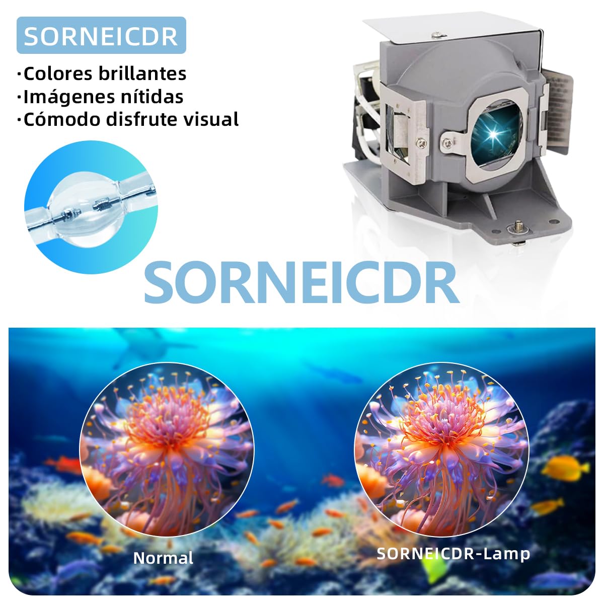 5J.JCA05.001 Lampada proiettore di ricambio con alloggiamento per BENQ DW843UST, DX842UST, MW831UST, MW843UST, MX842UST Videoproiettore