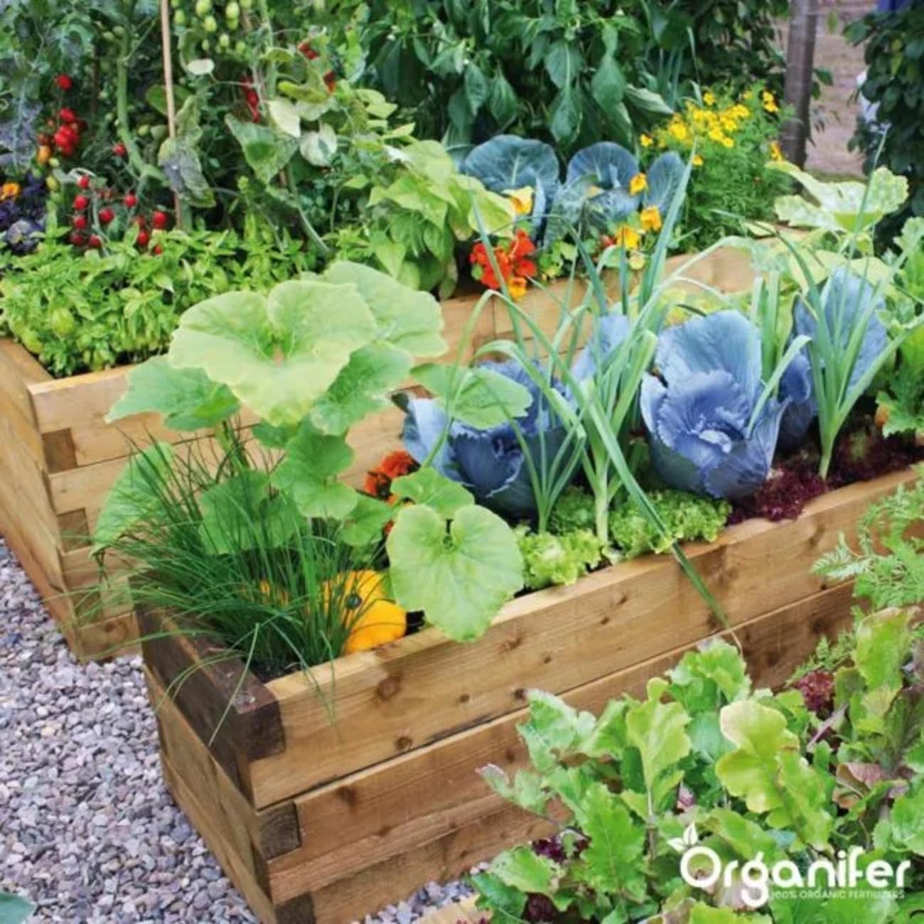 Fumier De Vache 3-En-1 En Granulés - 20 Kg - 200 M2 - Engrais Organique Universel - Npk 2-2-3 - Fertilisants Pour Potager, Gazon, Jardin - À Partir De Fumier De Vache 100% Pur - Organifer