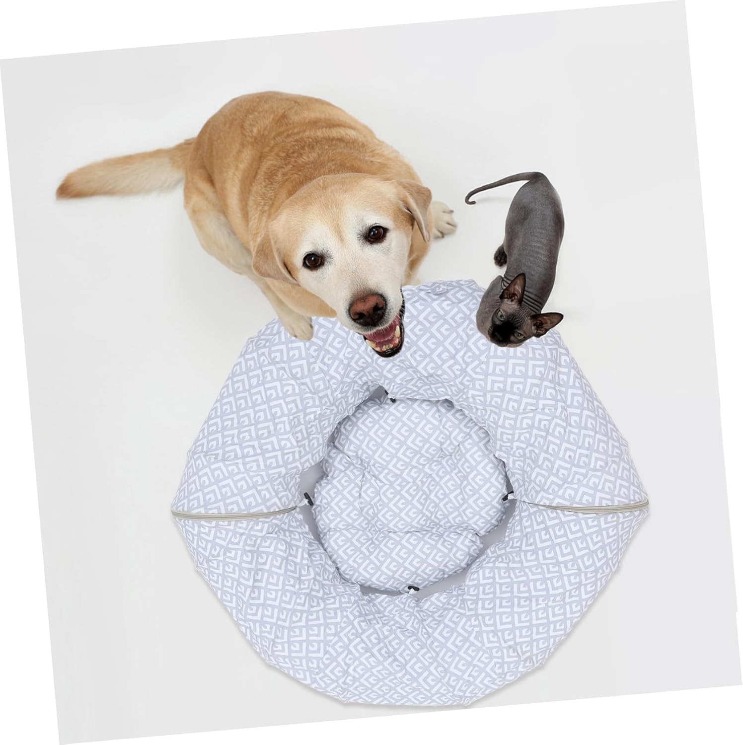 Cat Tunnel Bed Multi-Purpose Cozy Cat Passage for Indoor Play and Resting for Kittens and Easy to Store and Transport