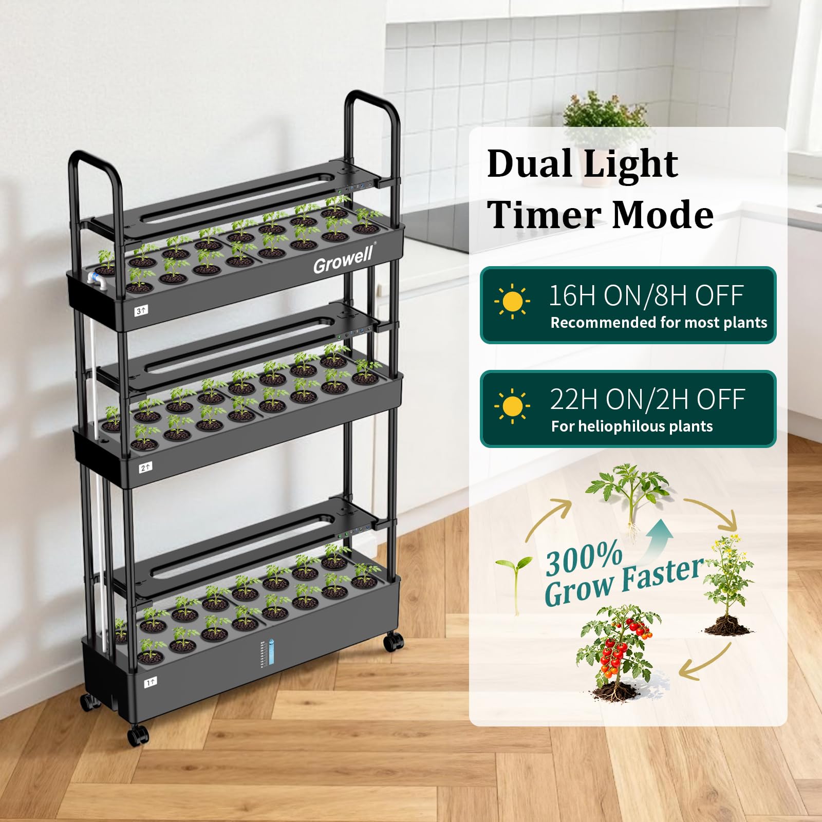Amazon.com: Growell Large Basket Hydroponics Growing System Kit