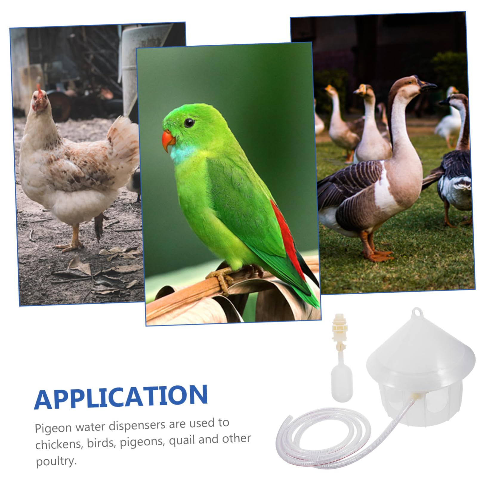 ORFOFE Dispensador Automático De Agua para Palomas Bebedero De Plástico para Aves Alimentador De Agua para Mascotas Sin Necesidad De Recarga para Palomas y Periquitos