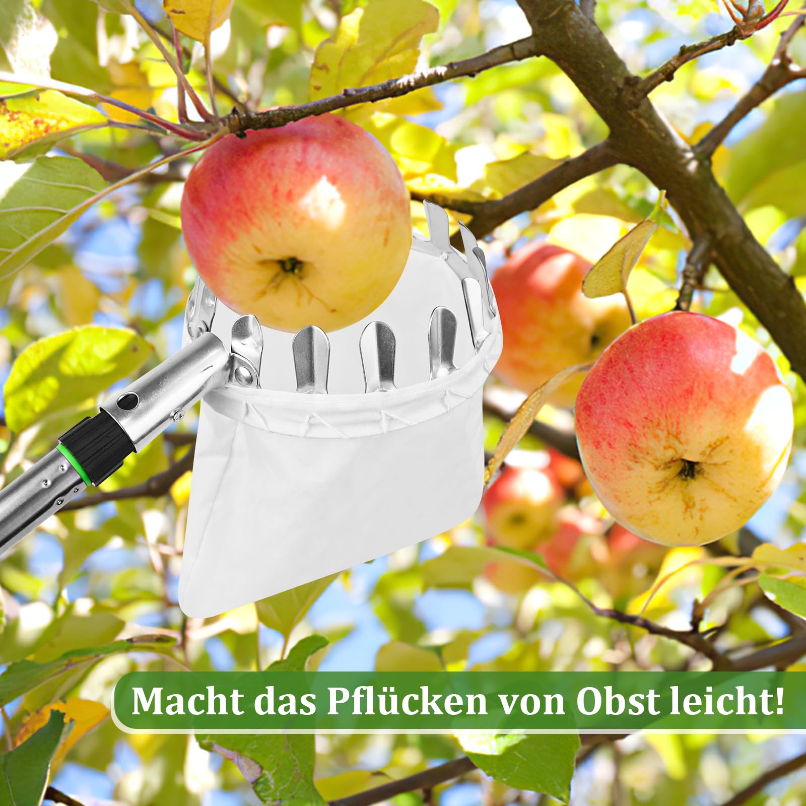 PRZRAO 4m Recogedor de Frutas con Telescópico, Recogedor de Frutas Diámetro 16 cm Recogedor de Manzanas con Pértiga Telescópica Ligera de Acero Inoxidable y Bolsa de Algodón para Manzanas Cítricos