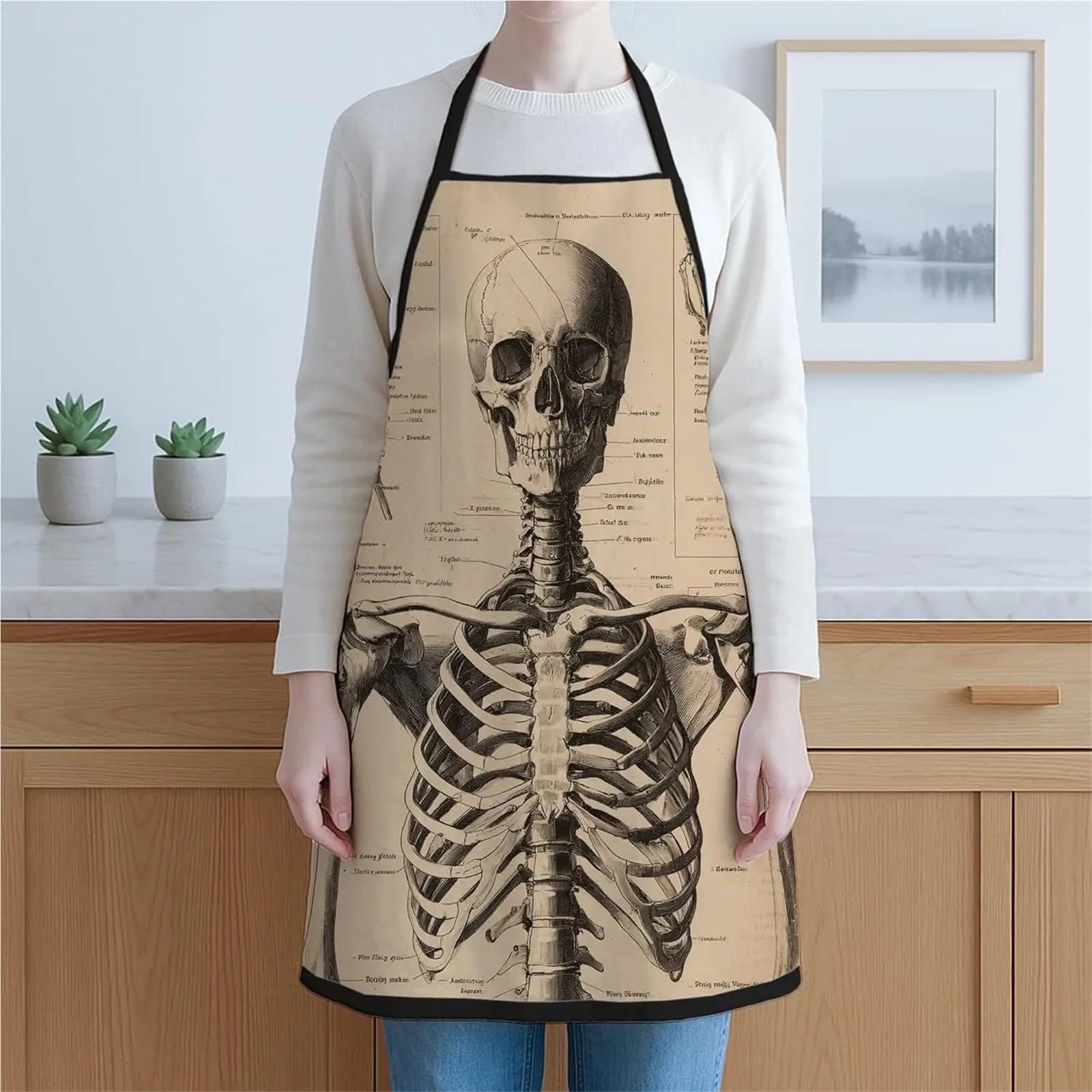 Delantal de alta resistencia Delantal de cocina con diseño esqueleto, calavera anatómica vintage, estilo retro médico, lavable