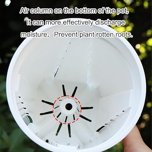 Miniatura 3 de Paquete de 5 macetas para orquídeas, macetas de orquídeas con agujeros y platillos, maceta de plástico para interiores y exteriores, maceta