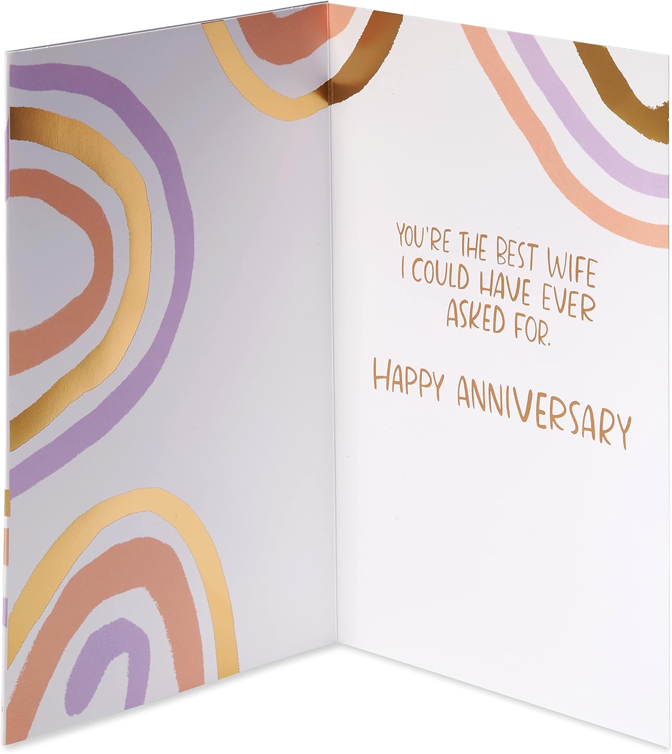 American Greetings Anniversary Card for Wife from Wife (The Best Wife)