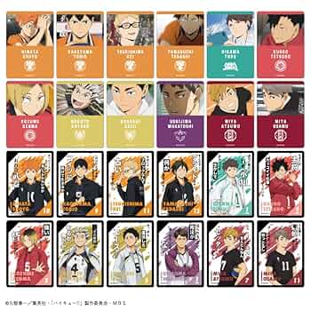 Amazon.co.jp: カミオジャパン ハイキュー!! トレーディング