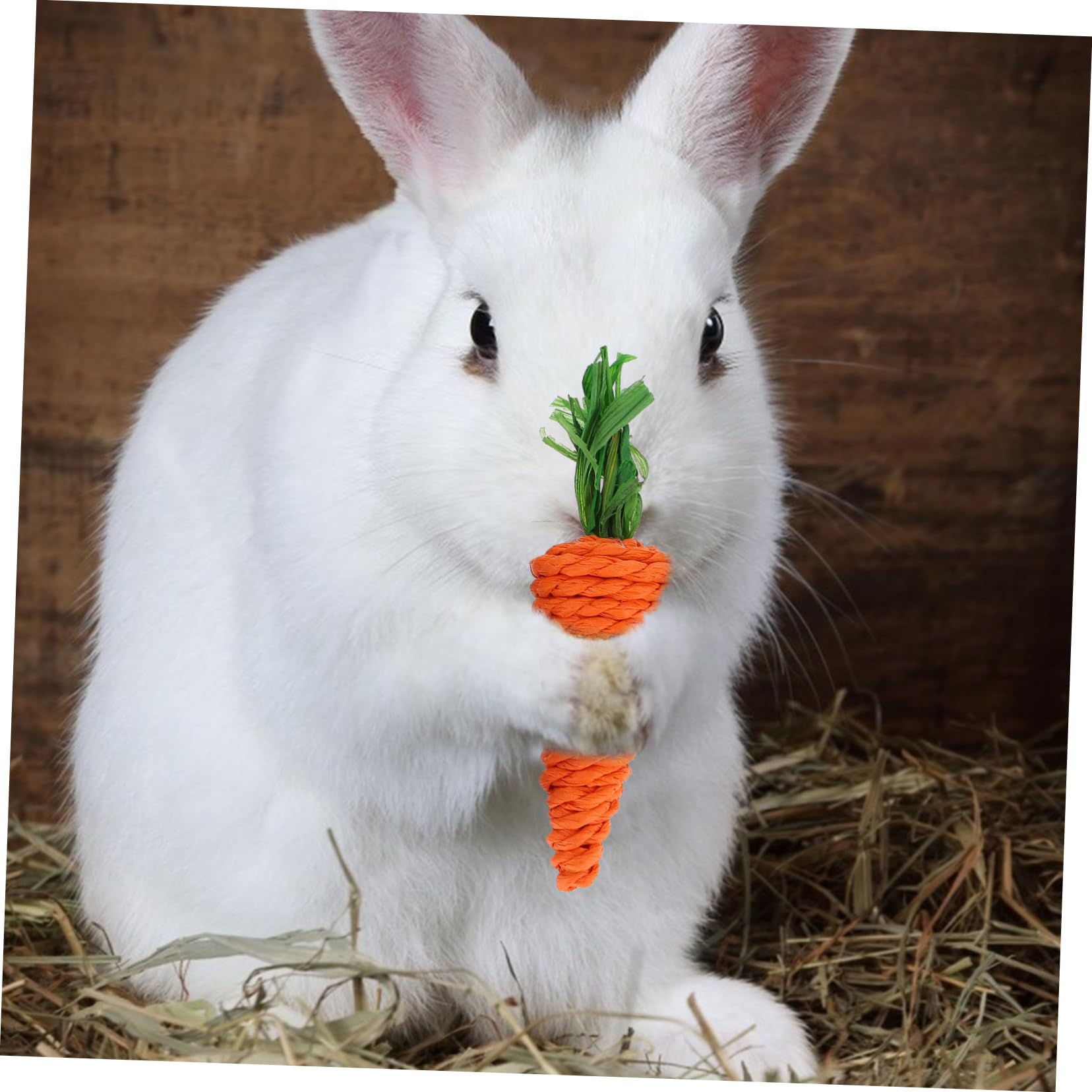 VANZACK 20pièces Jouets à Mâcher Loofah pour Petits Animaux Fournitures pour Hamster Et Lapin Jouets De Détente pour Rongeurs Carotte Maïs Radis