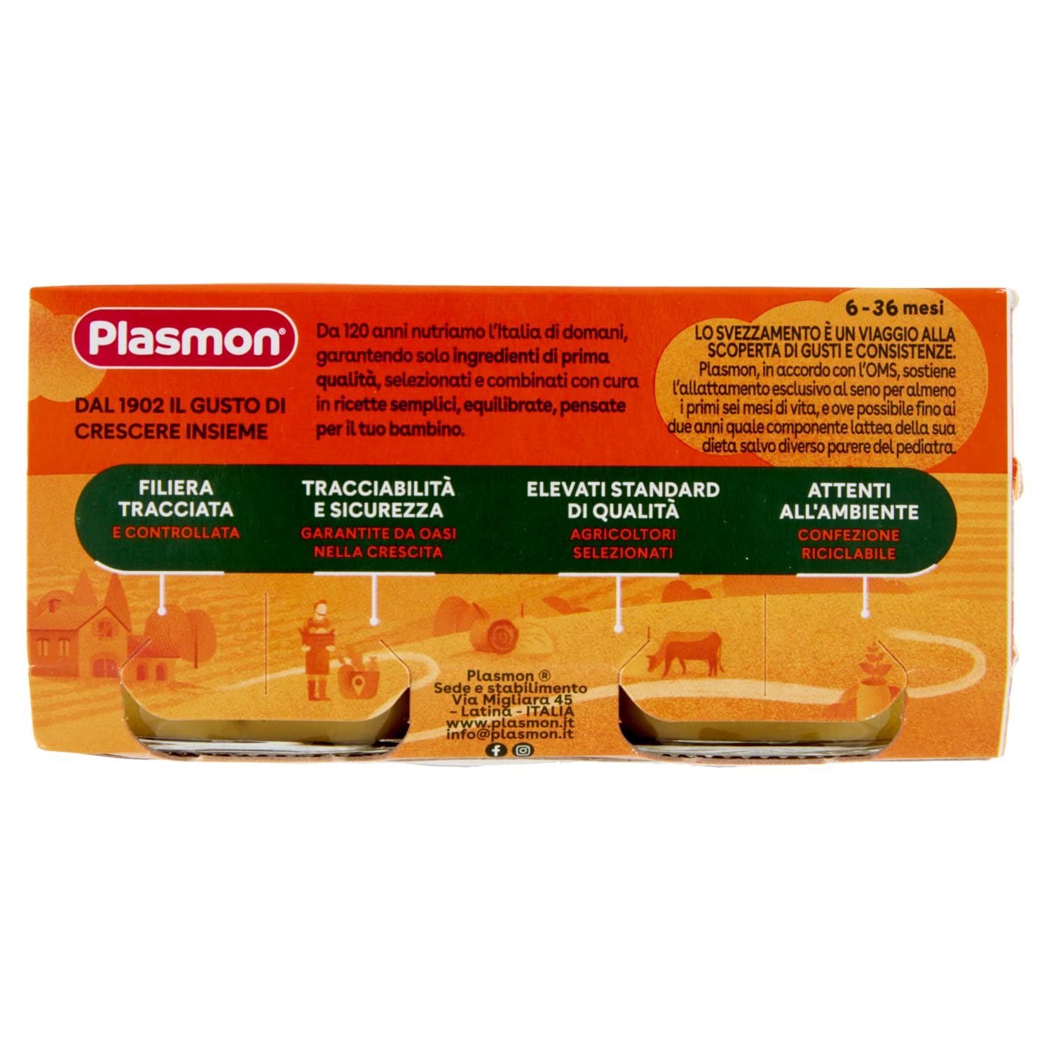 Plasmon Piselli e Zucchine, 12x (2x 80g), Mit ausgewählten Zutaten, 100% natürlich, Ohne Stärken und Salz hinzugefügt + Italian Gourmet polpa 400g