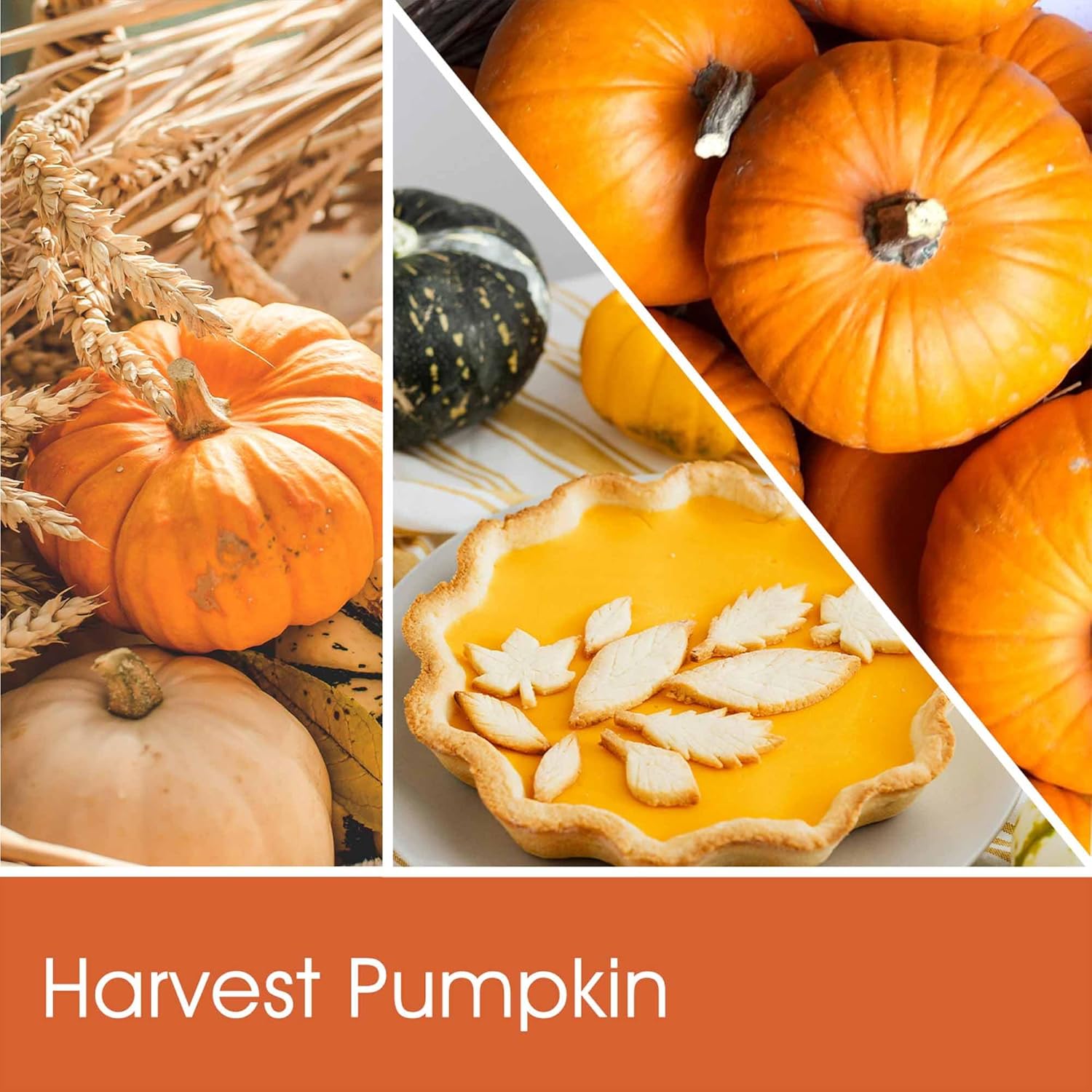 Fall Candle, Harvest Pumpkin Spice Candle, 19oz Large Fall Scented Candles Gifts for Women, Thanksgiving Candles, Thanksgiving Table Centerpiece, Farmhouse Harvest Decorations for Autumn Home Decor - Image 6