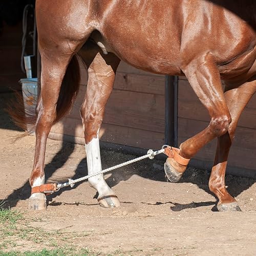 Miniatura 2 de Martin Saddlery Sideline Hobbles