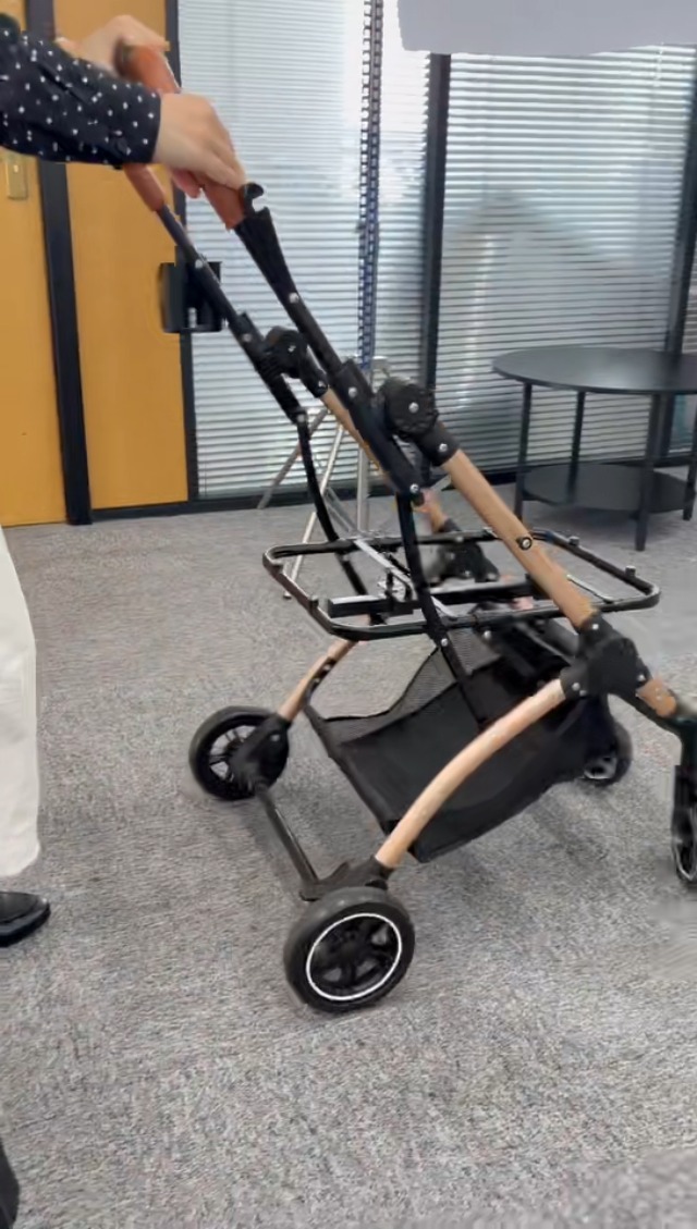 Amazon.co.jp: GLEEFURN ペットカート 分離型 犬用カート 小型犬 猫 4
