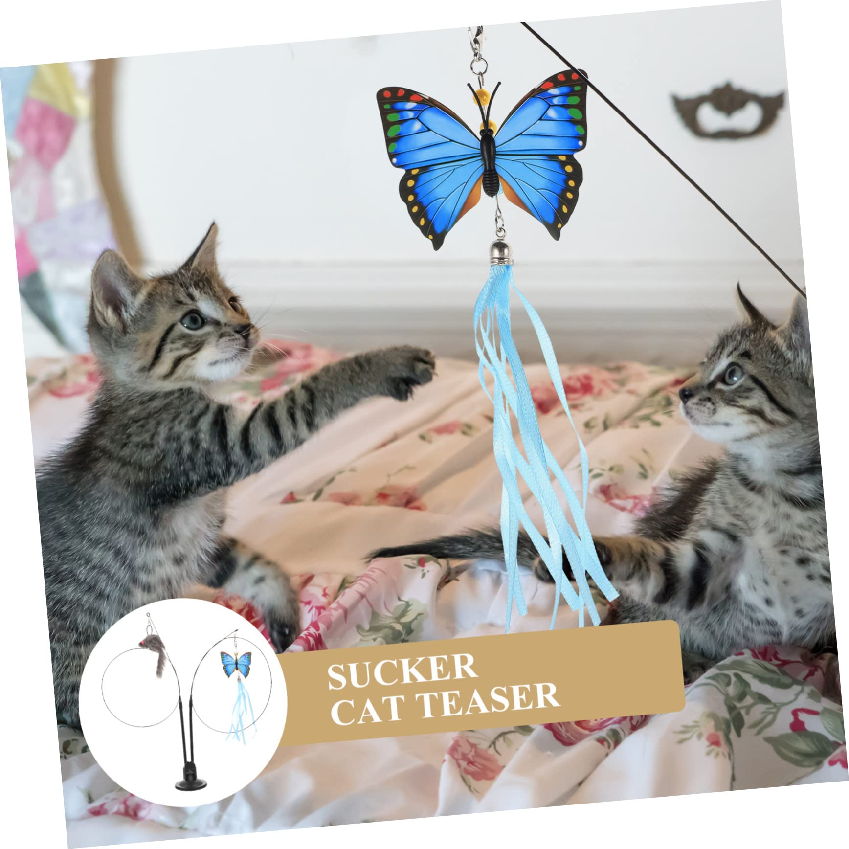 INOOMP 4pezzi Interattivo Per Gattini Attività Indoor Per e Divertimento Feline