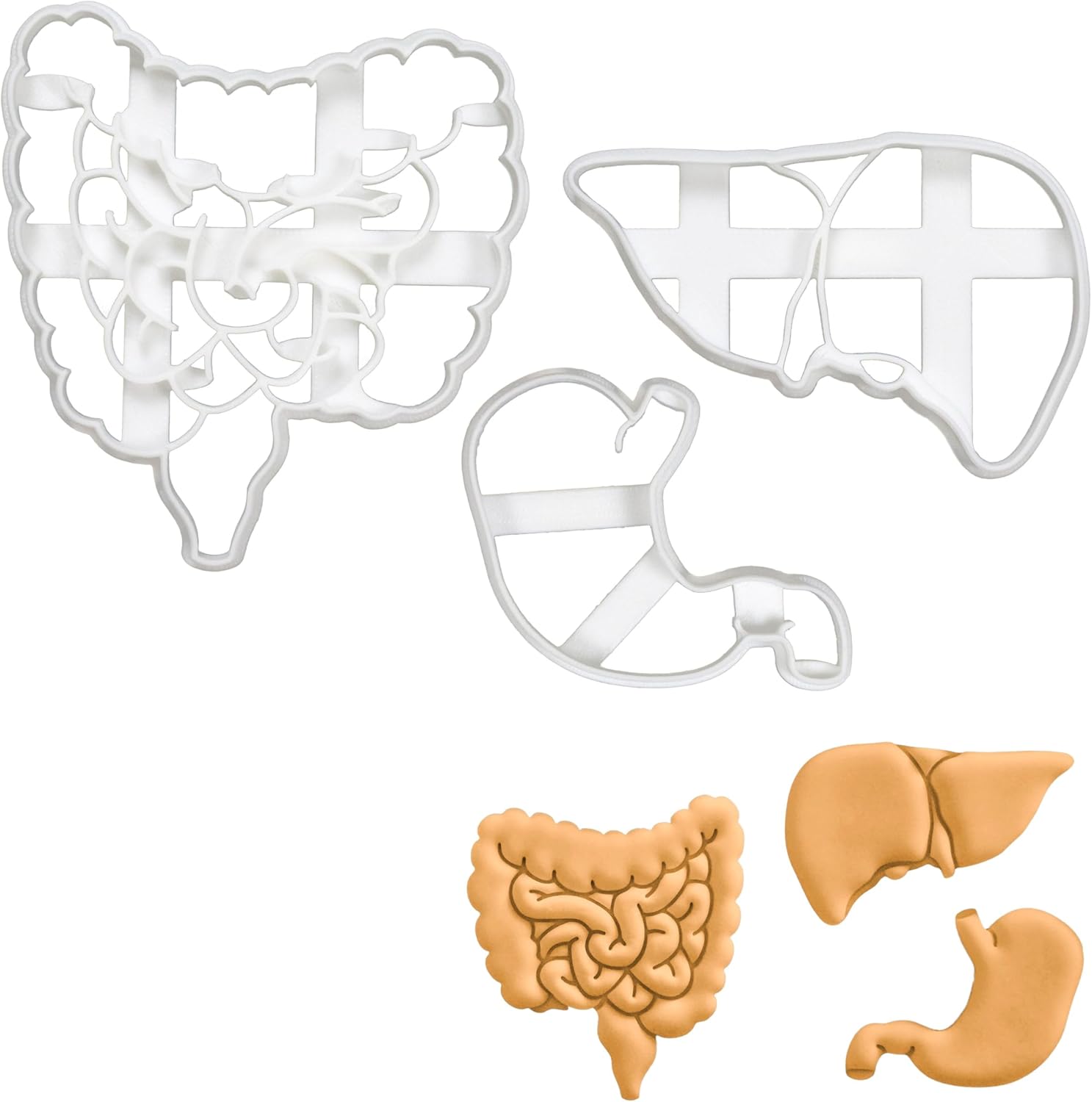 Set of 3 Gastrointestinal Anatomy cookie cutters (Designs: Intestines, Liver and Stomach), 3 pieces - Bakerlogy